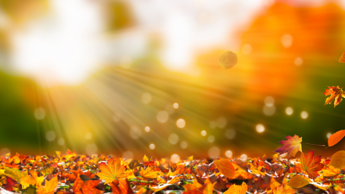 Transitioning from Summer to Autumn: The Perfect Time for Thoughtful Gifts